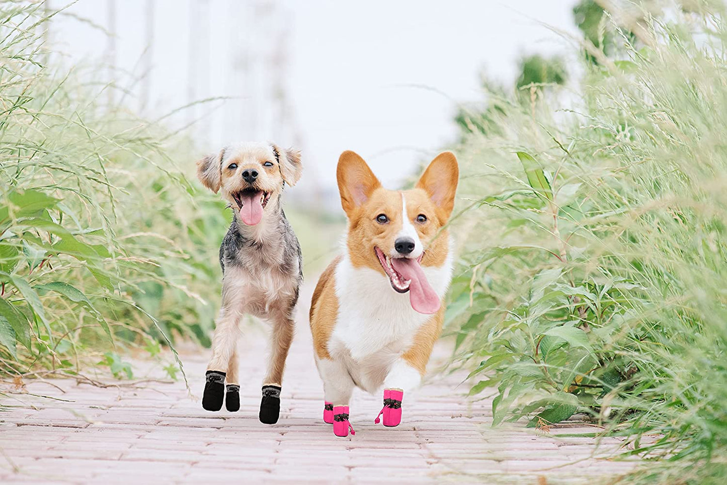 Dog Boots & Paw Protectors, Fleece Warm Snow Booties for Puppy with Reflective Strip Anti-Slip Rubber Sole